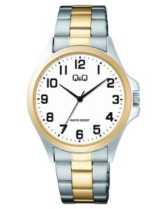 Meeste käekell Q&Q C36A-017PY