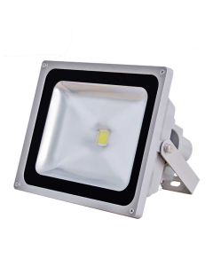 LED prožektor 50W valge Meanwell draiveriga