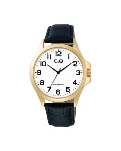 Meeste käekell Q&Q C36A-009PY