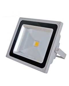 Prožektor 50W Epiled külm valge